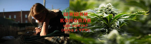 трава Новокубанск