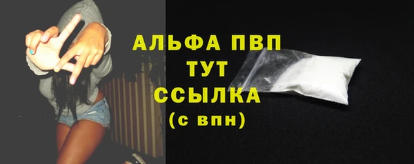 стаф Нефтегорск