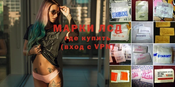 стаф Нефтегорск