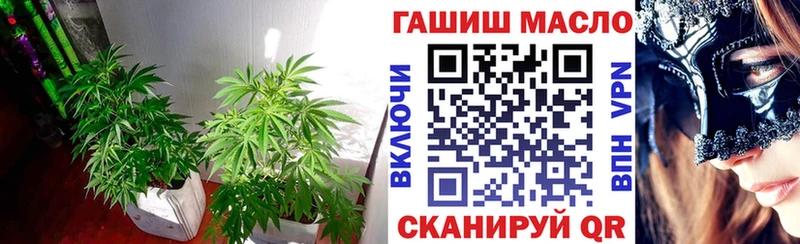 Купить  Лермонтов  ТГК гашишное масло 