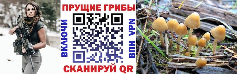 Псилоцибиновые грибы мухоморы Купить Лермонтов