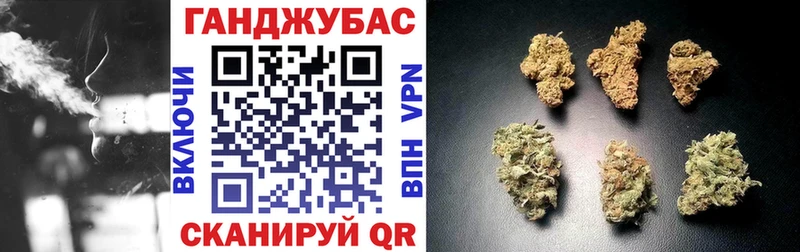 Купить Лермонтов Шишки марихуана Ganja